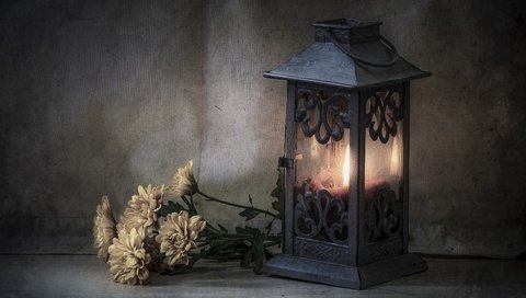 Обои цветы, стиль, фонарь, свеча, хризантемы, flowers, style, lantern, candle, chrysanthemum разрешение 3600x2384 Загрузить