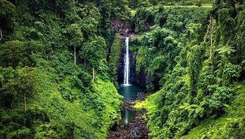 Обои деревья, samoa, камни, зелень, лес, скала, водопад, тропики, джунгли, trees, stones, greens, forest, rock, waterfall, tropics, jungle разрешение 1920x1361 Загрузить