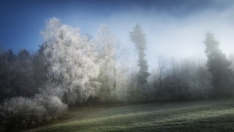 Обои деревья, природа, зима, туман, иней, trees, nature, winter, fog, frost разрешение 1920x1280 Загрузить