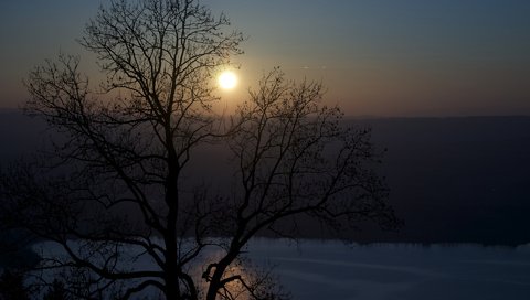 Обои дерево, утро, речка, tree, morning, river разрешение 1920x1200 Загрузить