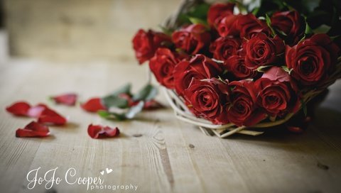 Обои цветы, розы, лепестки, букет, flowers, roses, petals, bouquet разрешение 2880x1800 Загрузить