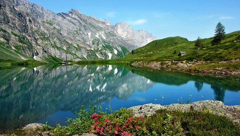 Обои озеро, горы, природа, отражение, пейзаж, цветы. лето, lake, mountains, nature, reflection, landscape, flowers. summer разрешение 1920x1200 Загрузить