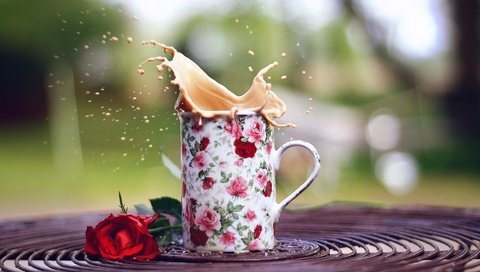 Обои напиток, цветок, роза, кофе, кружка, всплеск, капучино, drink, flower, rose, coffee, mug, splash, cappuccino разрешение 1920x1080 Загрузить