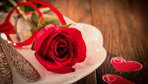 Обои цветок, роза, сердечки, день святого валентина, сервировка, flower, rose, hearts, valentine's day, serving разрешение 2880x1800 Загрузить