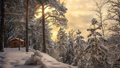 Обои небо, облака, деревья, снег, лес, зима, беседка, сугробы, the sky, clouds, trees, snow, forest, winter, gazebo, the snow разрешение 1920x1280 Загрузить