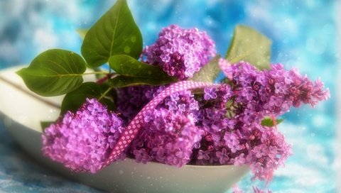 Обои цветы, ветки, лента, букетик, сирень, боке, тесьма, flowers, branches, tape, a bunch, lilac, bokeh, braid разрешение 2048x1362 Загрузить