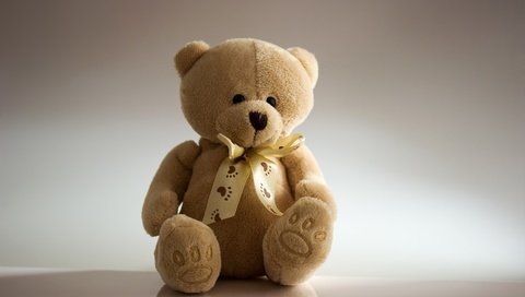 Обои медведь, мишка, игрушка, сидит, плюшевый, бантик, медвежонок, bear, toy, sitting, plush, bow разрешение 2880x1920 Загрузить