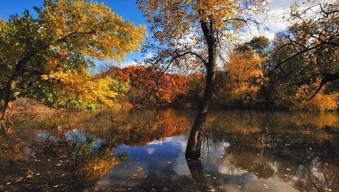 Обои вода, природа, осень, красиво, water, nature, autumn, beautiful разрешение 2560x1600 Загрузить