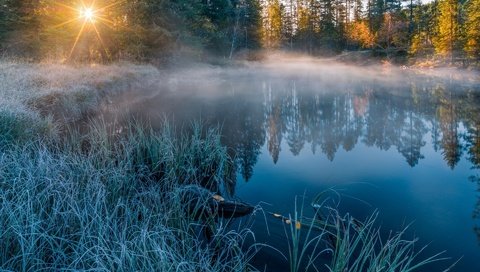 Обои река, природа, лес, зима, отражение, солнечный свет, river, nature, forest, winter, reflection, sunlight разрешение 1920x1200 Загрузить