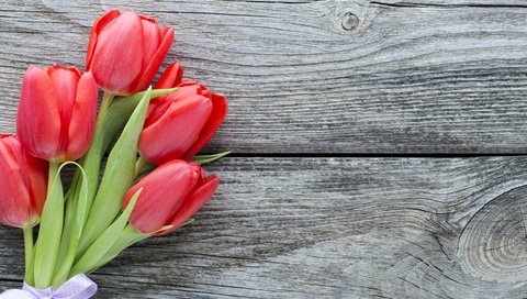 Обои цветы, букет, тюльпаны, красные тюльпаны, flowers, bouquet, tulips, red tulips разрешение 2880x1800 Загрузить