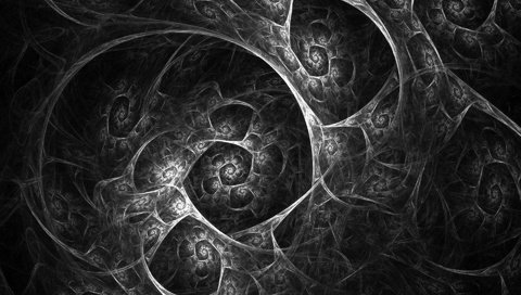 Обои чёрно-белое, графика, фрактал, 3д, black and white, graphics, fractal, 3d разрешение 1920x1200 Загрузить