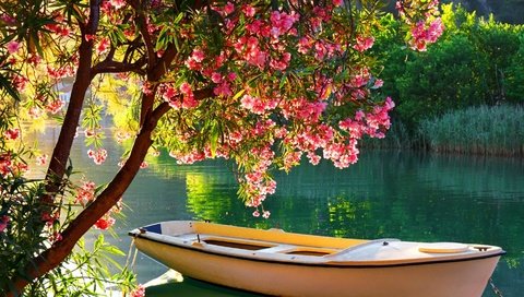 Обои деревья, река, цветение, отражение, лодка, лодка на озере, trees, river, flowering, reflection, boat, boat on the lake разрешение 1920x1080 Загрузить