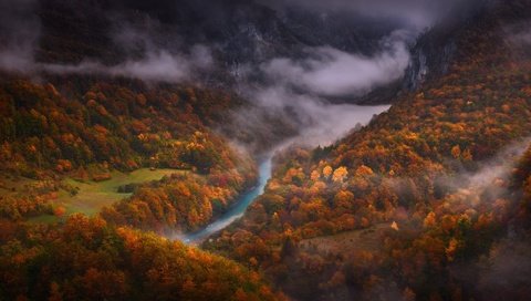 Обои деревья, река, горы, лес, туман, вид сверху, осень, trees, river, mountains, forest, fog, the view from the top, autumn разрешение 2000x1125 Загрузить