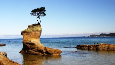 Обои небо, скалы, дерево, море, горизонт, побережье, the sky, rocks, tree, sea, horizon, coast разрешение 2668x1900 Загрузить