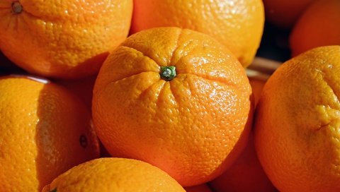 Обои фрукты, апельсины, мандарины, цитрусы, fruit, oranges, tangerines, citrus разрешение 1920x1280 Загрузить