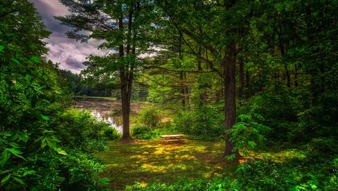 Обои трава, столик, деревья, природа, лес, пейзаж, лето, пруд, лавочки, grass, table, trees, nature, forest, landscape, summer, pond, benches разрешение 5200x3460 Загрузить