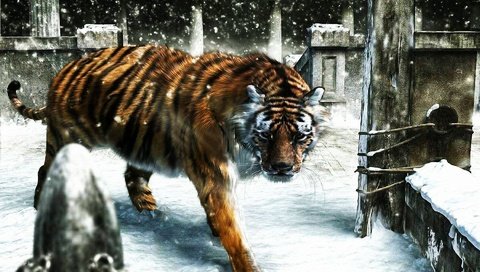 Обои тигр, снег, зима, рендеринг, tiger, snow, winter, rendering разрешение 1920x1200 Загрузить