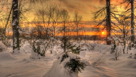 Обои небо, пейзаж, облака, деревья, солнце, снег, природа, закат, зима, the sky, landscape, clouds, trees, the sun, snow, nature, sunset, winter разрешение 1920x1200 Загрузить