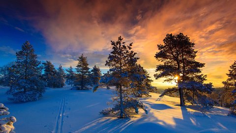 Обои небо, норвегия, облака, деревья, солнце, природа, лес, закат, зима, the sky, norway, clouds, trees, the sun, nature, forest, sunset, winter разрешение 1920x1080 Загрузить