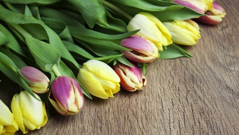 Обои цветы, бутоны, тюльпаны, flowers, buds, tulips разрешение 2880x1800 Загрузить