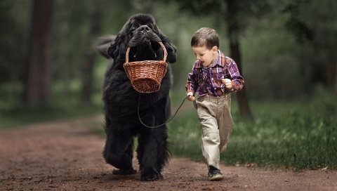 Обои собака, мальчик, животное, друзья, ньюфаундленд, dog, boy, animal, friends, newfoundland разрешение 1939x1080 Загрузить