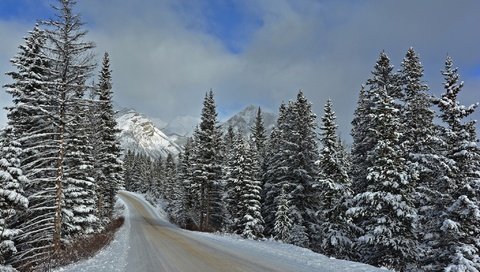 Обои дорога, горы, зима, пейзаж, национальный парк банф, road, mountains, winter, landscape, banff national park разрешение 2048x1366 Загрузить