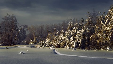 Обои ночь, снег, лес, зима, ели, night, snow, forest, winter, ate разрешение 1920x1200 Загрузить