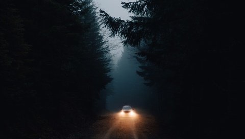 Обои свет, дорога, лес, машина, темнота, фары, light, road, forest, machine, darkness, lights разрешение 2048x1365 Загрузить