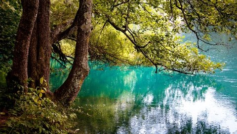 Обои деревья, озеро, отражение, ветви, юлия назаренко, trees, lake, reflection, branch, yulia nazarenko разрешение 1920x1280 Загрузить