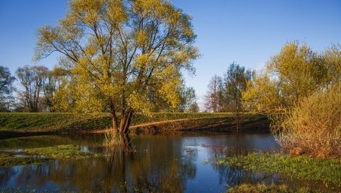 Обои деревья, река, природа, листья, осень, trees, river, nature, leaves, autumn разрешение 1920x1301 Загрузить