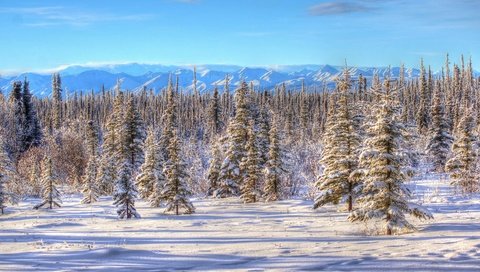 Обои небо, горы, снег, природа, зима, пейзаж, аляска,     деревья, the sky, mountains, snow, nature, winter, landscape, alaska, trees разрешение 4837x3262 Загрузить