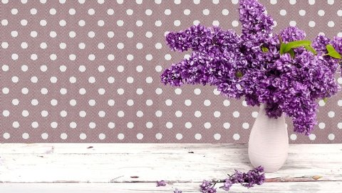 Обои цветы, лепестки, весна, букет, ваза, сирень, flowers, petals, spring, bouquet, vase, lilac разрешение 2560x1600 Загрузить