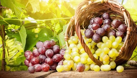 Обои виноград, лето, корзина, grapes, summer, basket разрешение 2560x1440 Загрузить