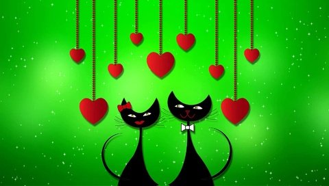 Обои взгляд, сердце, коты, кошки, сердечки, зеленый фон, мордочки, влюбленные, look, heart, cats, hearts, green background, faces, lovers разрешение 1920x1080 Загрузить