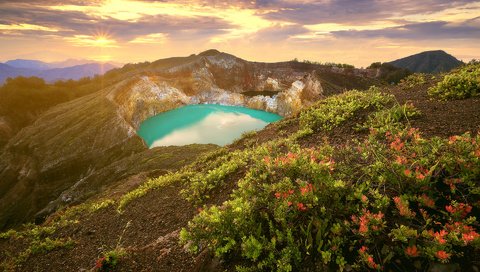 Обои цветы, озеро, горы, природа, индонезия, flowers, lake, mountains, nature, indonesia разрешение 1920x1200 Загрузить