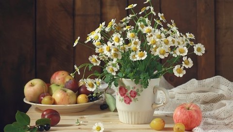 Обои цветы, фрукты, яблоки, ромашки, букет, натюрморт, сливы, flowers, fruit, apples, chamomile, bouquet, still life, plum разрешение 2880x1800 Загрузить