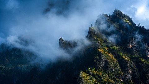 Обои горы, лес, туман, каменный город, дэн donglin, mountains, forest, fog, stone town, deng donglin разрешение 1920x1268 Загрузить