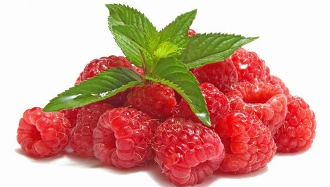 Обои листья, малина, ягода, белый фон, leaves, raspberry, berry, white background разрешение 5584x3536 Загрузить