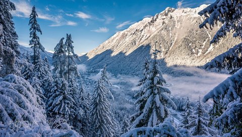 Обои небо, деревья, горы, снег, лес, зима, the sky, trees, mountains, snow, forest, winter разрешение 1920x1200 Загрузить