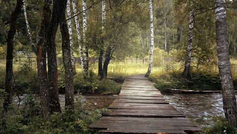 Обои деревья, роща, природа, мостик, пейзаж, березы, мост, забор, речка, trees, grove, nature, the bridge, landscape, birch, bridge, the fence, river разрешение 1920x1200 Загрузить