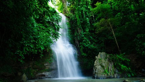 Обои река, природа, зелень, растения, водопад, джунгли, river, nature, greens, plants, waterfall, jungle разрешение 2880x1800 Загрузить