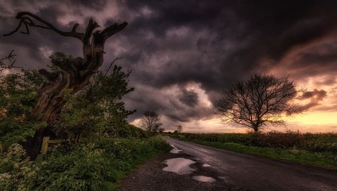 Обои дорога, облака, дерево, тучи, пейзаж, лужа, road, clouds, tree, landscape, puddle разрешение 2048x1267 Загрузить