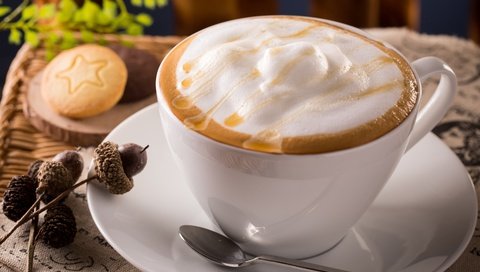 Обои кофе, чашка, печенье, пенка, каппучино, coffee, cup, cookies, foam, cappuccino разрешение 3000x2000 Загрузить
