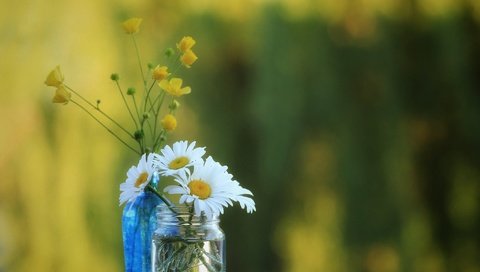 Обои ромашки, полевые цветы, банка, бутылочка, боке, лютики, chamomile, wildflowers, bank, bottle, bokeh, buttercups разрешение 2048x1365 Загрузить