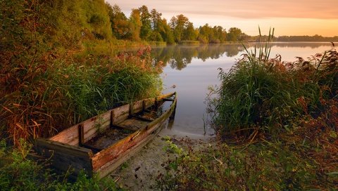 Обои деревья, озеро, растения, лес, лодка, камыши, nikonzoom, trees, lake, plants, forest, boat, the reeds разрешение 2560x1627 Загрузить