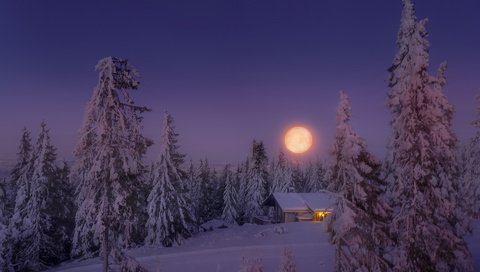 Обои небо, свет, деревья, снег, лес, зима, луна, дом, the sky, light, trees, snow, forest, winter, the moon, house разрешение 1920x1200 Загрузить