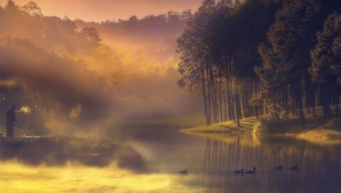 Обои деревья, утки, озеро, природа, лес, пейзаж, утро, туман, птицы, trees, duck, lake, nature, forest, landscape, morning, fog, birds разрешение 1920x1200 Загрузить