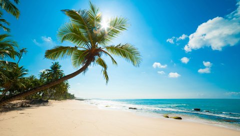 Обои море, пляж, тропики, карибы, sea, beach, tropics, caribbean разрешение 8512x5664 Загрузить