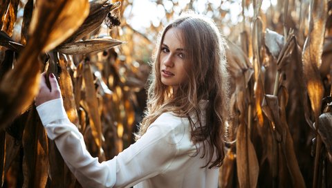 Обои девушка, портрет, взгляд, волосы, кукуруза, лицо, girl, portrait, look, hair, corn, face разрешение 2048x1365 Загрузить