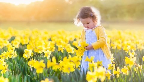 Обои цветы, солнце, поле, девочка, ребенок, нарциссы, flowers, the sun, field, girl, child, daffodils разрешение 3600x2400 Загрузить